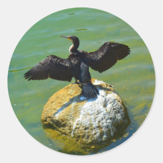 Sticker Rond Cormorant