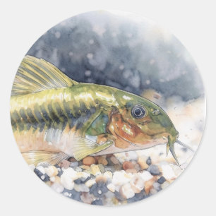 Sticker Rond Corydoras poisson chat laser vert