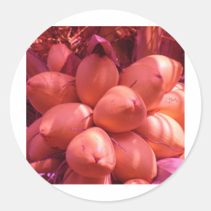 Sticker Rond cos en couleur