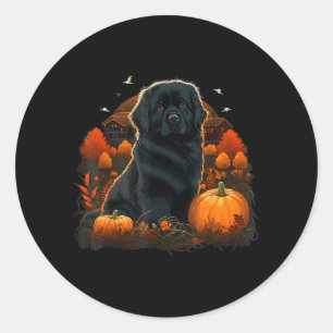 Sticker Rond Costume de chien Newfie citrouille sur chien Terre