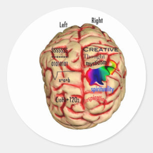 Sticker Rond Côté gauche et côté droite du cerveau
