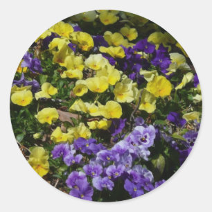 Sticker Rond Coteau de panneaux violets et jaunes