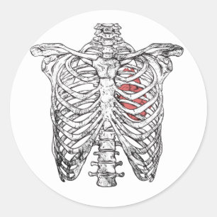 Sticker Rond Côtes Vintage & Anatomie du Cœur Halloween