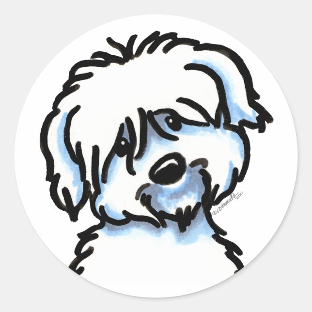 Sticker Rond Coton blanc de Tuléar face (Devant)