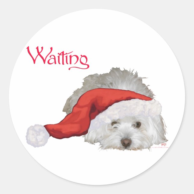 Sticker Rond Coton de Tulear - En attente (Devant)