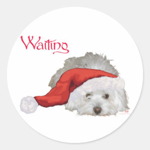 Sticker Rond Coton de Tulear - En attente