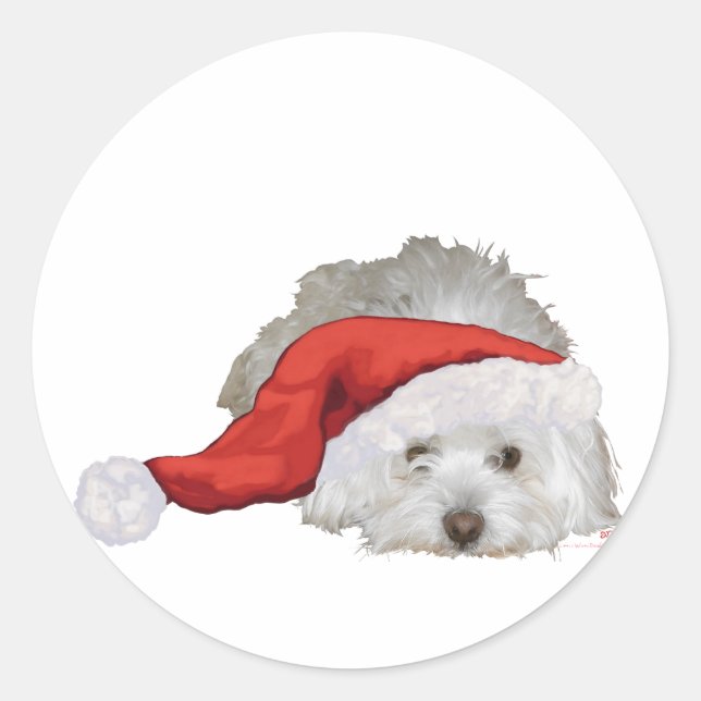Sticker Rond Coton de Tulear - En attente (Devant)