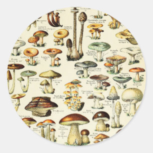 Sticker Rond Cottagecore Champignons Naturaliste Vintage
