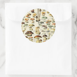 Sticker Rond Cottagecore Champignons Naturaliste Vintage