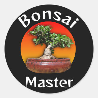 Sticker Rond Coucher de soleil du maître de fig sauvage Bonsai