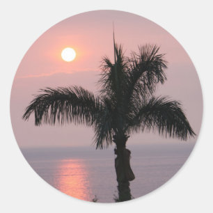Sticker Rond Coucher de soleil rose tropicale et palme