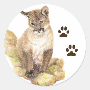 Sticker Rond Cougar, Puma, Mountain Lion Animal Cub Traces