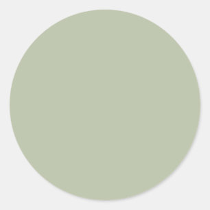 Sticker Rond Couleur claire et neutre vert pâle Élégante