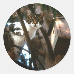 Sticker Rond Coupable !