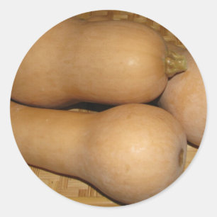 Sticker Rond Courge de Butternut