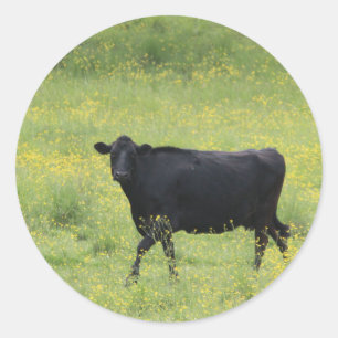 Sticker Rond Cow_0075 noir