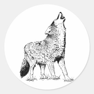 Sticker Rond Coyote