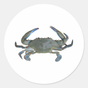 Sticker Rond Crabe bleu de "Jimmy"