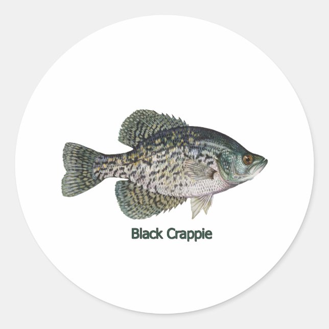 Sticker Rond Crappie noire (titre) (Devant)