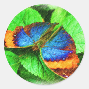 Sticker Rond Crayon papillon bleu 