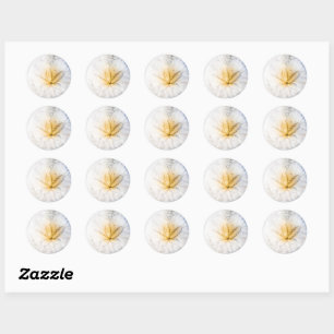 Sticker Rond Craze Dollar De Sable