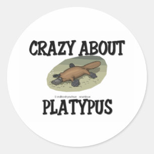 Sticker Rond Crazy à propos de Platypus
