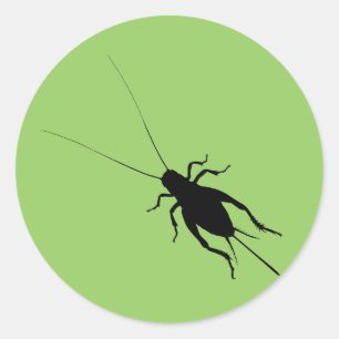 Sticker Rond Cricket noir