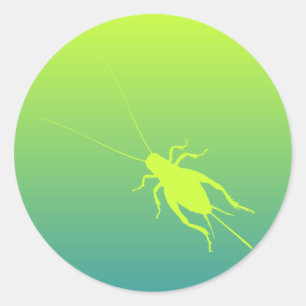 Sticker Rond Cricket vert jaune