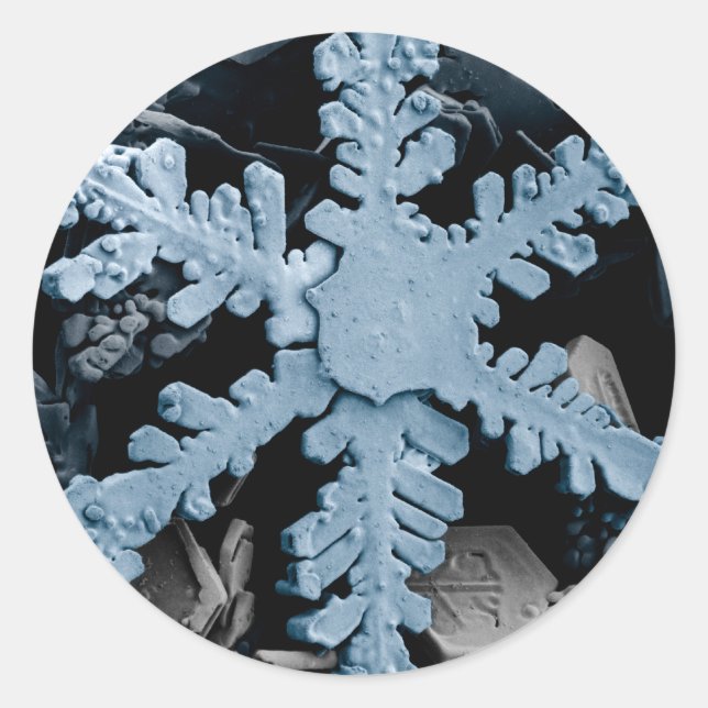 Sticker Rond Cristal de neige 2 (Devant)