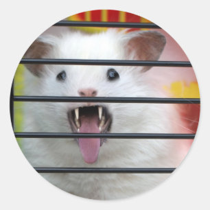 Sticker Rond Critère cranky