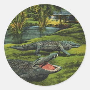Sticker Rond Crocodiles vintages, Reptiles Marine Life Animaux
