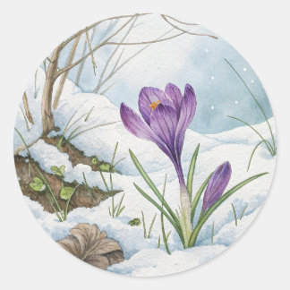 Sticker Rond Crocus pourpre Ressorti Dans L'Autocollant À Neige