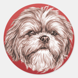 Sticker Rond Croquis Shih Tzu