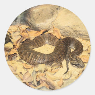 Sticker Rond Crotte