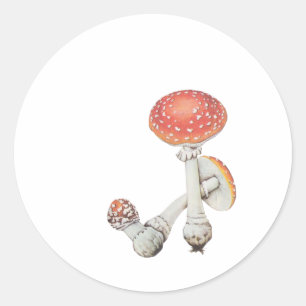 Sticker Rond Cuisine de champignons Vintages - Botaniques scien