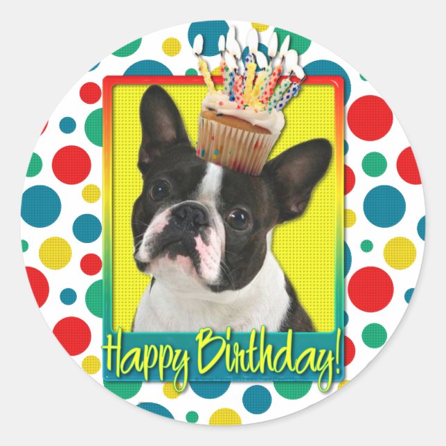 Sticker Rond Cupcake anniversaire - Boston Terrier (Devant)