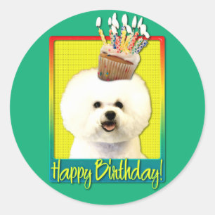 Sticker Rond Cupcake d'anniversaire - Bichon Frise