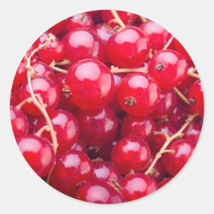 Sticker Rond Curateur rouge