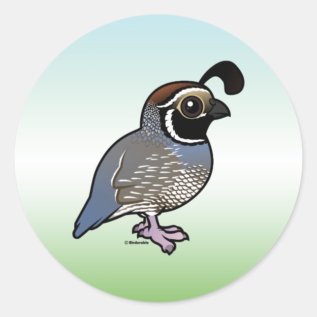 Sticker Rond Cute California Quail (Devant)
