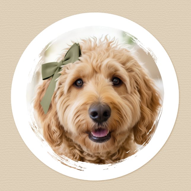 Sticker Rond Cute Custom Photo Dog Pet Modern Printed (Créateur téléchargé)