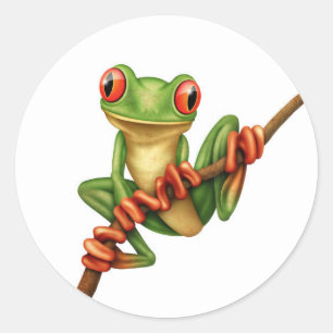 Sticker Rond Cute grenouille verte sur une branche sur blanc