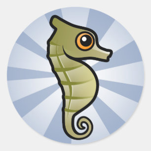 Sticker Rond Cute Nwarf Seahorse