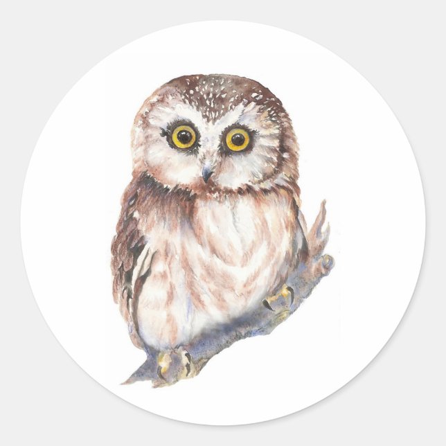 Sticker Rond Cute Owl - Aquarelle Collection d'oiseaux (Devant)