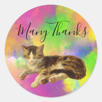 Sticker Rond Cute Retro Kitty Cat Many Thanks Abstract Rainbow