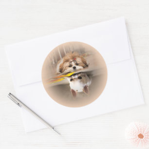 Sticker Rond Cute shih tzu et chihuahua
