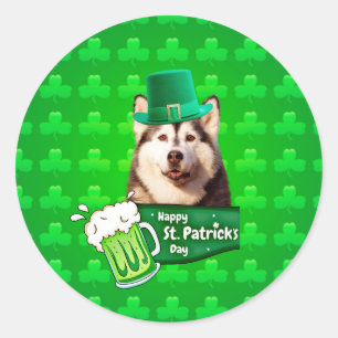 Sticker Rond Cute Siberian Husky Chien Casquette St. Patrick's 