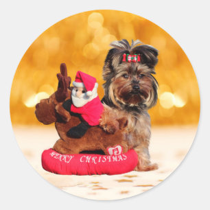Sticker Rond Cute Yorkshire Terrier Joyeux Noël
