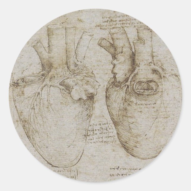 Sticker Rond Da Vinci : des croquis d'anatomie du coeur humain (Devant)