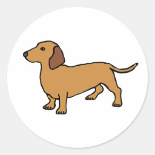Sticker Rond Dachshund