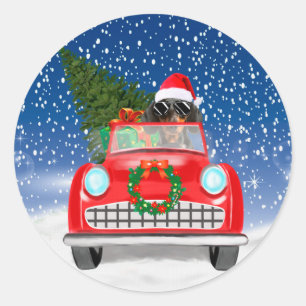 Sticker Rond Dachshund Chien Conduite Voiture En Noël De Neige